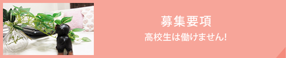募集職種